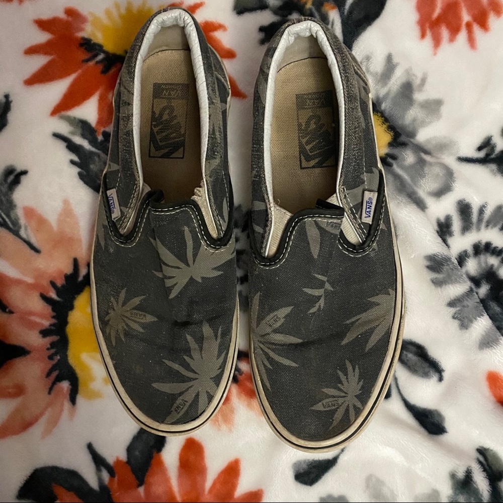 Palm Tree 🌴 Vans